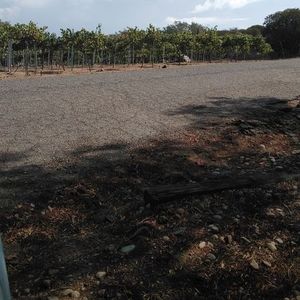 Meet your Posher, Noah